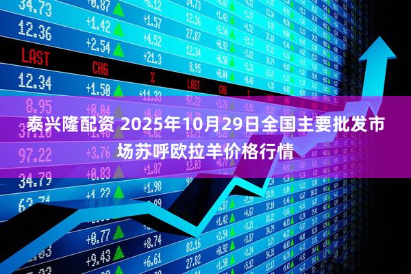泰兴隆配资 2025年10月29日全国主要批发市场苏呼欧拉羊价格行情